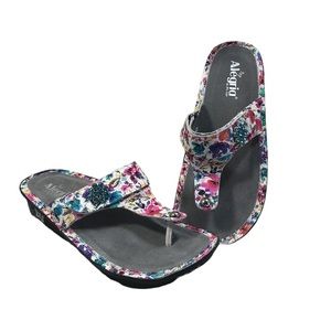 Alegria by PG Lite, Like New Carina Perennial